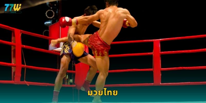 มวยไทย: ศิลปะแห่งการต่อสู้และการเดิมพันที่ 77w